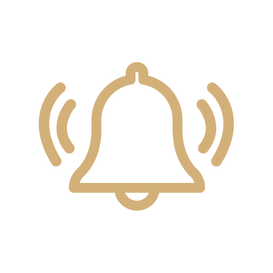 Merit icon
