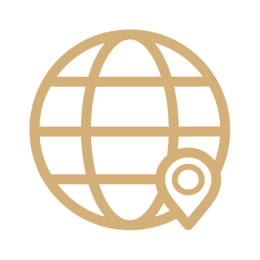 Why us icon
